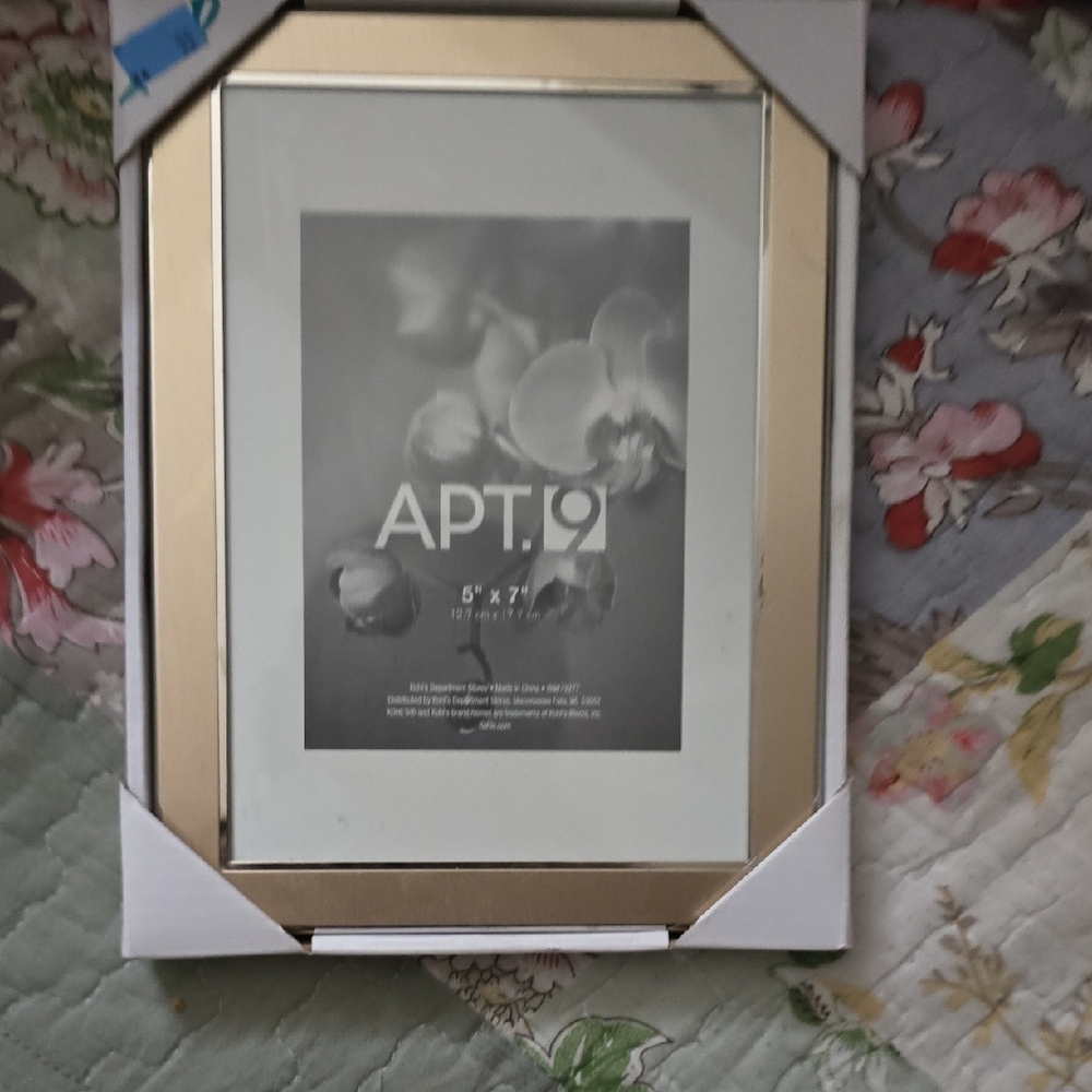 Apt. 9 Elegant Gold Frame
